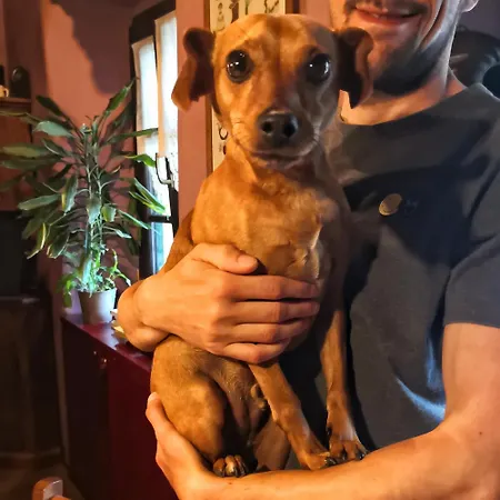 Oda ve Kahvaltı Dove Comincia La Bella Italia 3*