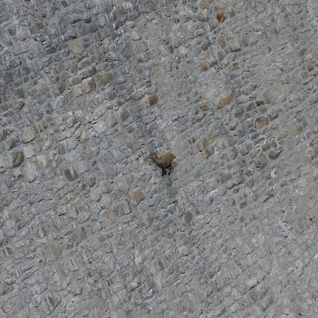 Oda ve Kahvaltı Dove Comincia La Bella Italia Beura