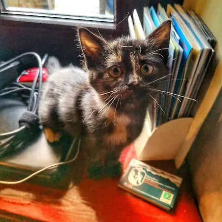 Dove Comincia La Bella Italia